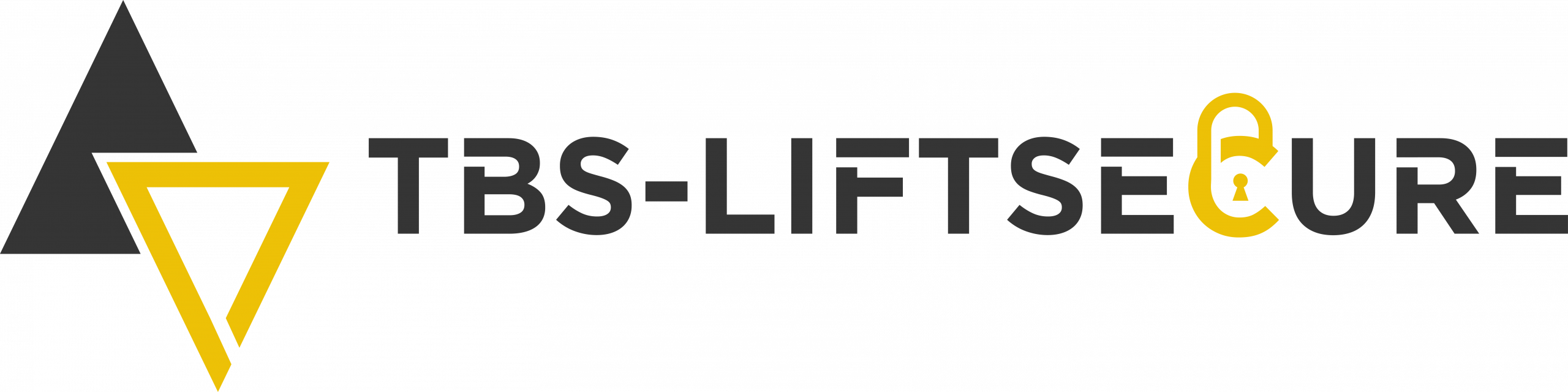 TBS-LiftSecure GmbH